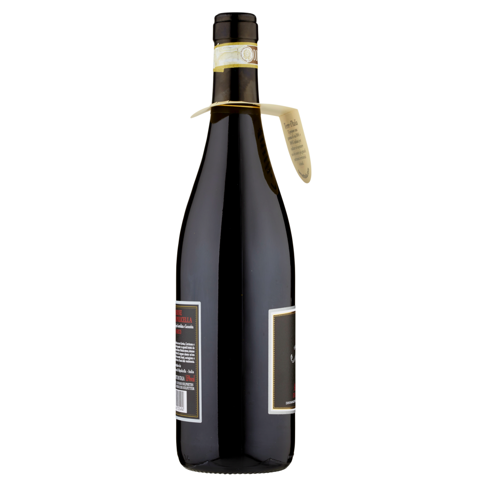 Terre d'Italia Villa Mondi Amarone della Valpolicella DOCG Classico 750 ml