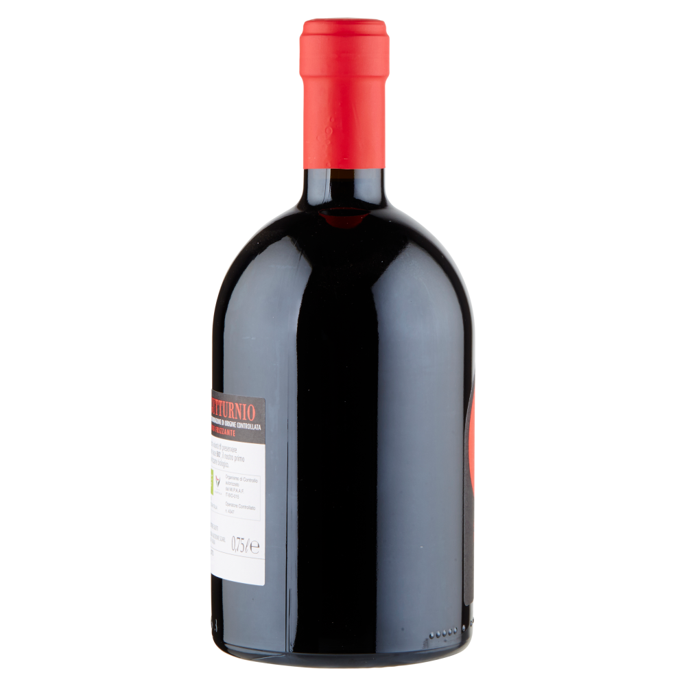 Cantina Valtidone Bi&ograve; Valtidone Gutturnio Frizzante D.O.C. 0,75 l