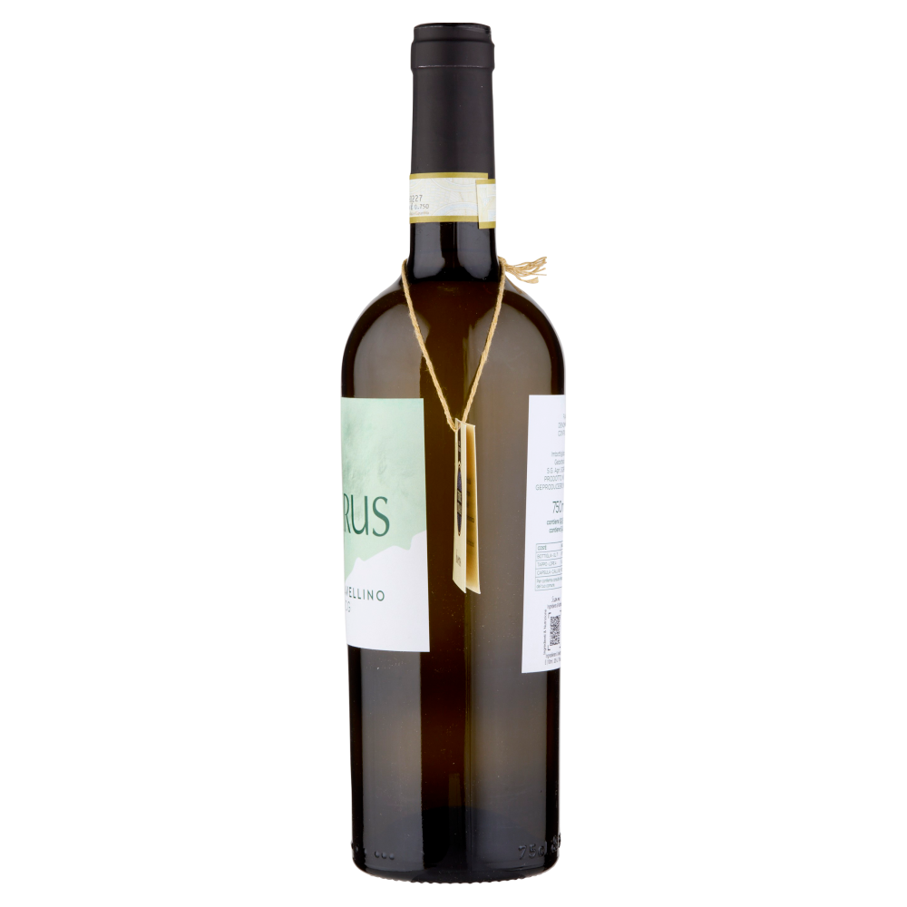 Terre d'Italia Koerus Fiano di Avellino DOCG 750 ml