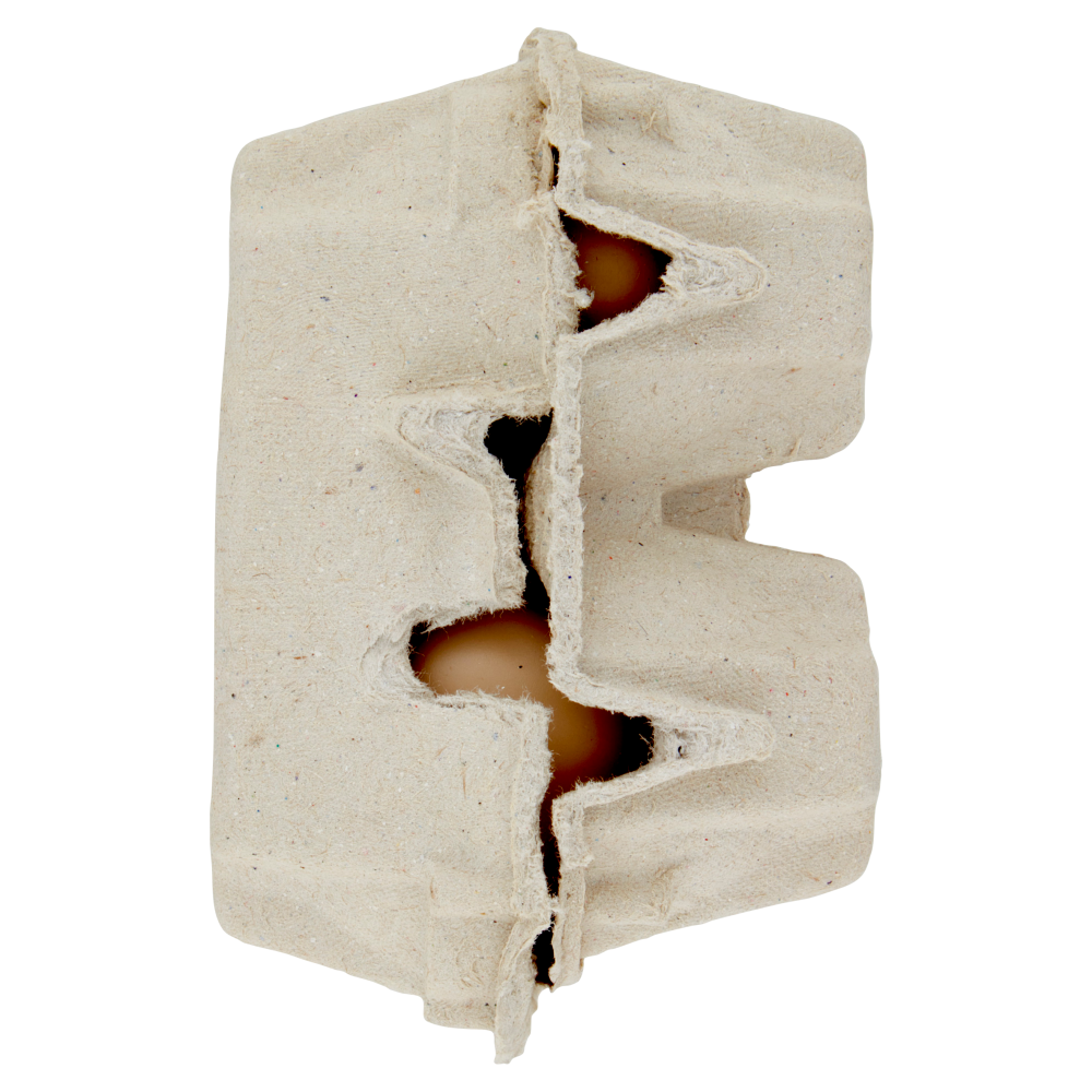 latte tigullio Fiordovo Uova da Allevamento a Terra Confezione da 6 Uova Fresche