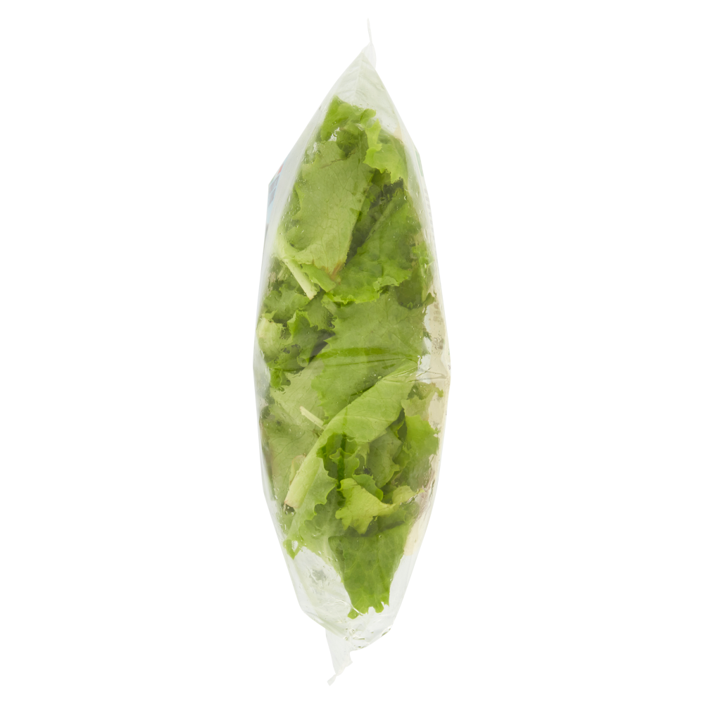 Carrefour Bio Insalatina Lattughino 80 g