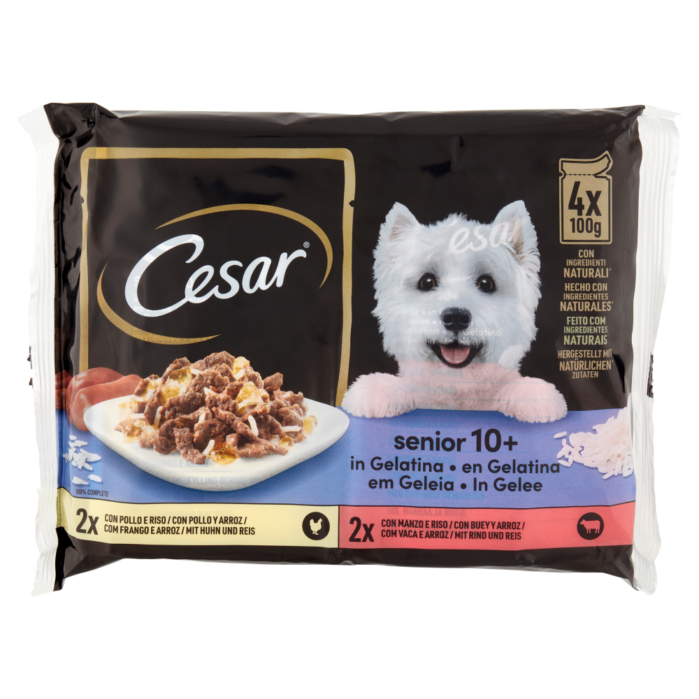 Cesar senior 10+ in Gelatina 4 x 100 g
