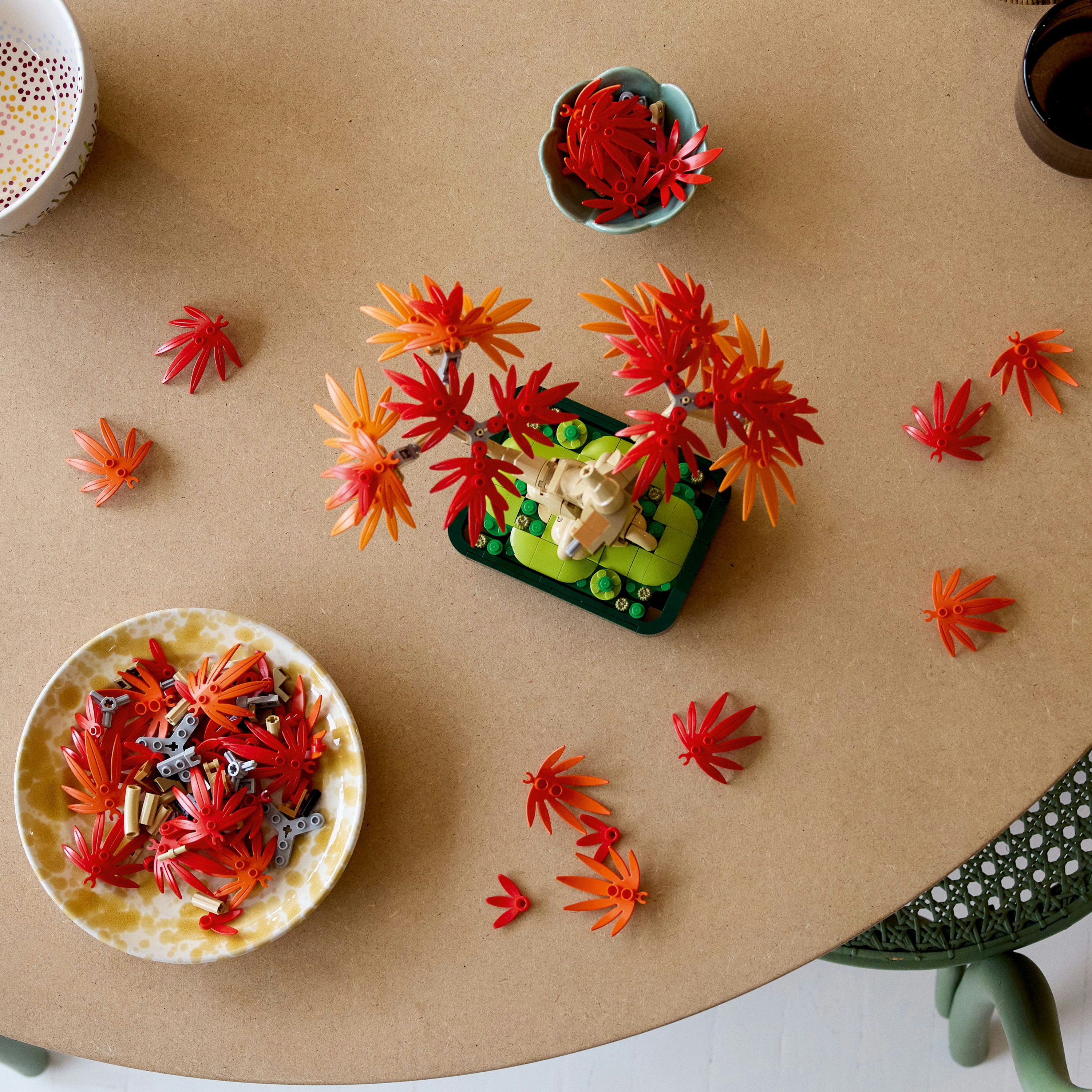 LEGO Botanicals Bonsai di acero rosso giapponese