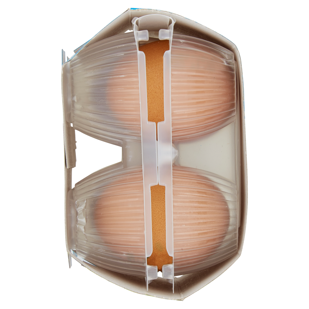 Antiga 4 Uova da Galline Libere da Allevamento all'Aperto 220 g