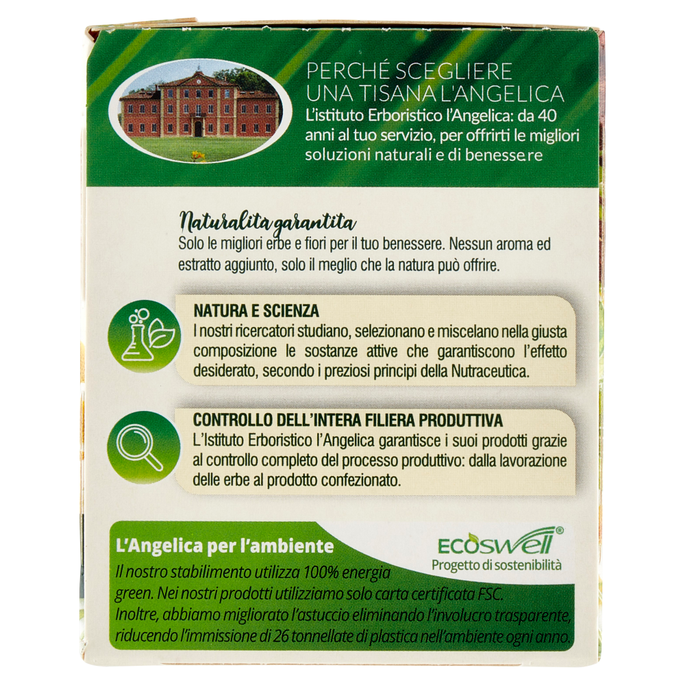 L'Angelica Le Tisane Sollievo Stomaco Active 18 Filtri 27,9 g