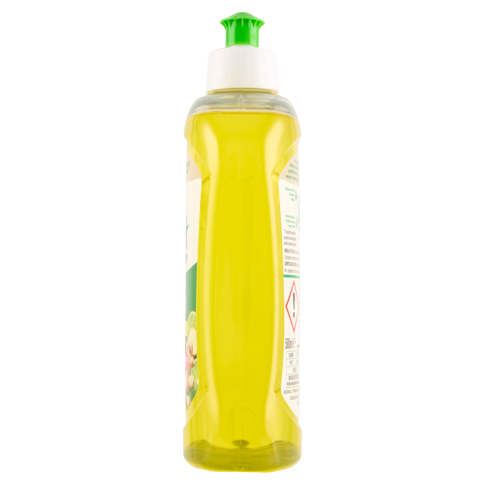 Vert di Chanteclair Ecodetergente Piatti Limone e Zenzero 500 ml