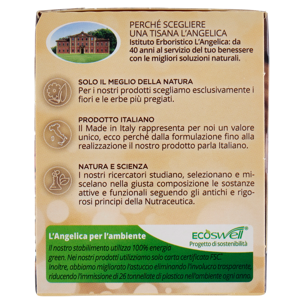 L'Angelica Passioni d'inverno al Gusto di Pan di Zenzero 15 Filtri 28.5 g