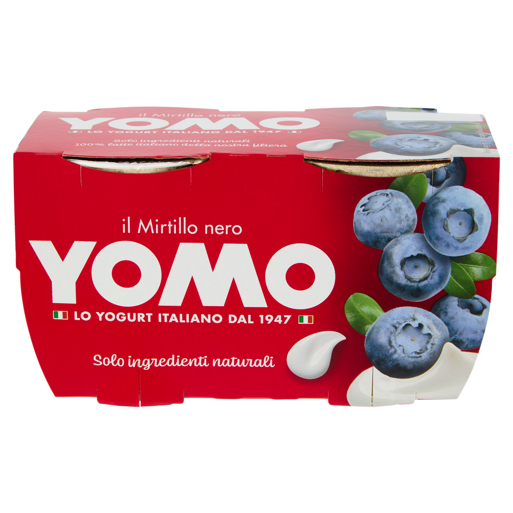 Yomo il Mirtillo nero 2 x 125 g