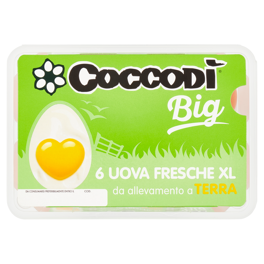 Coccodì Big 6 Uova Fresche XL da allevamento a Terra