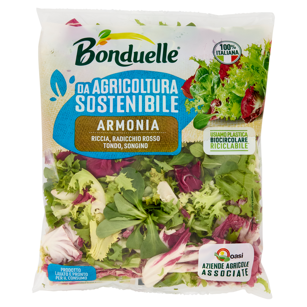 Bonduelle Armonia 170 g 
