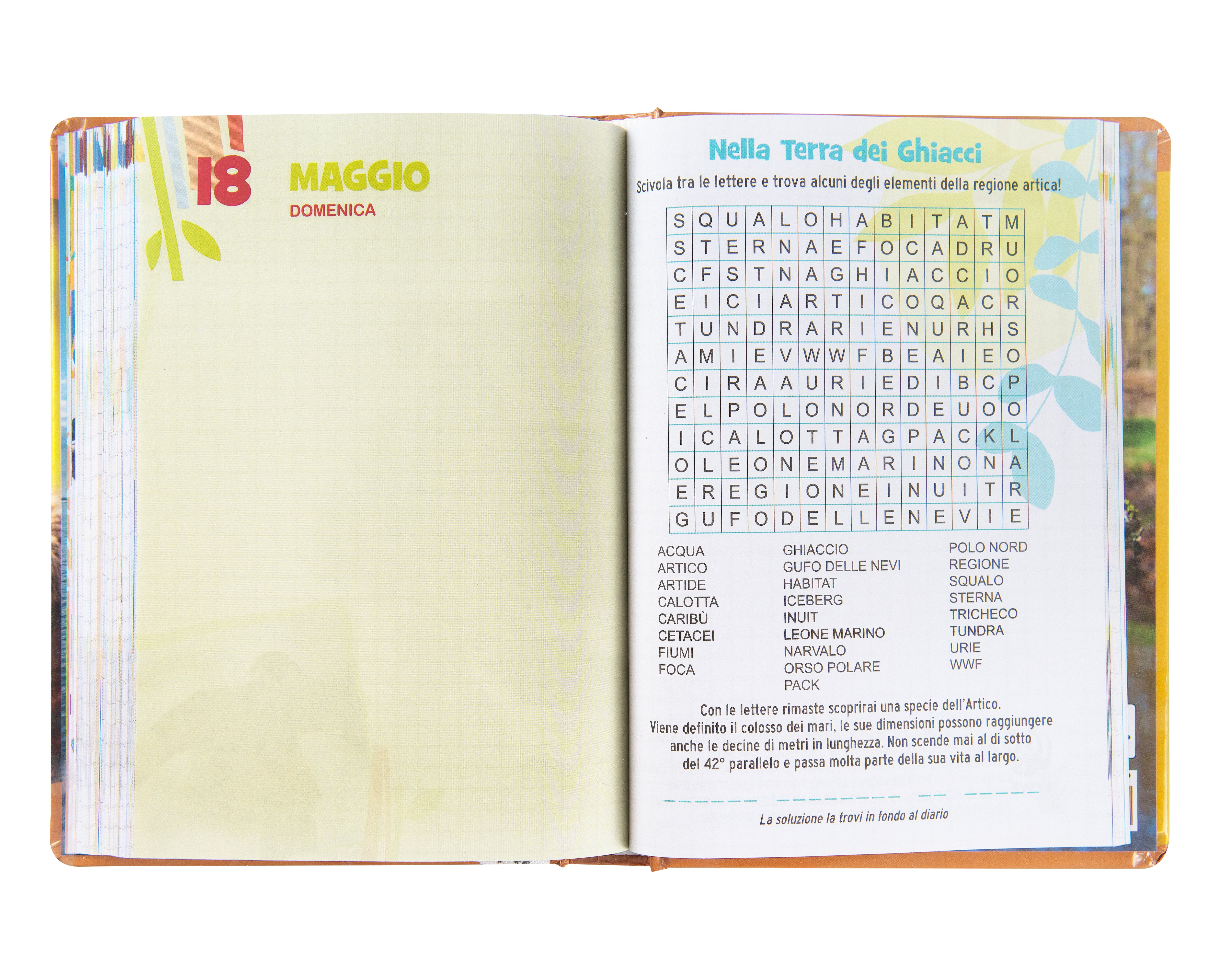 Carrefour 8058263229227 Diario Diario scolastico