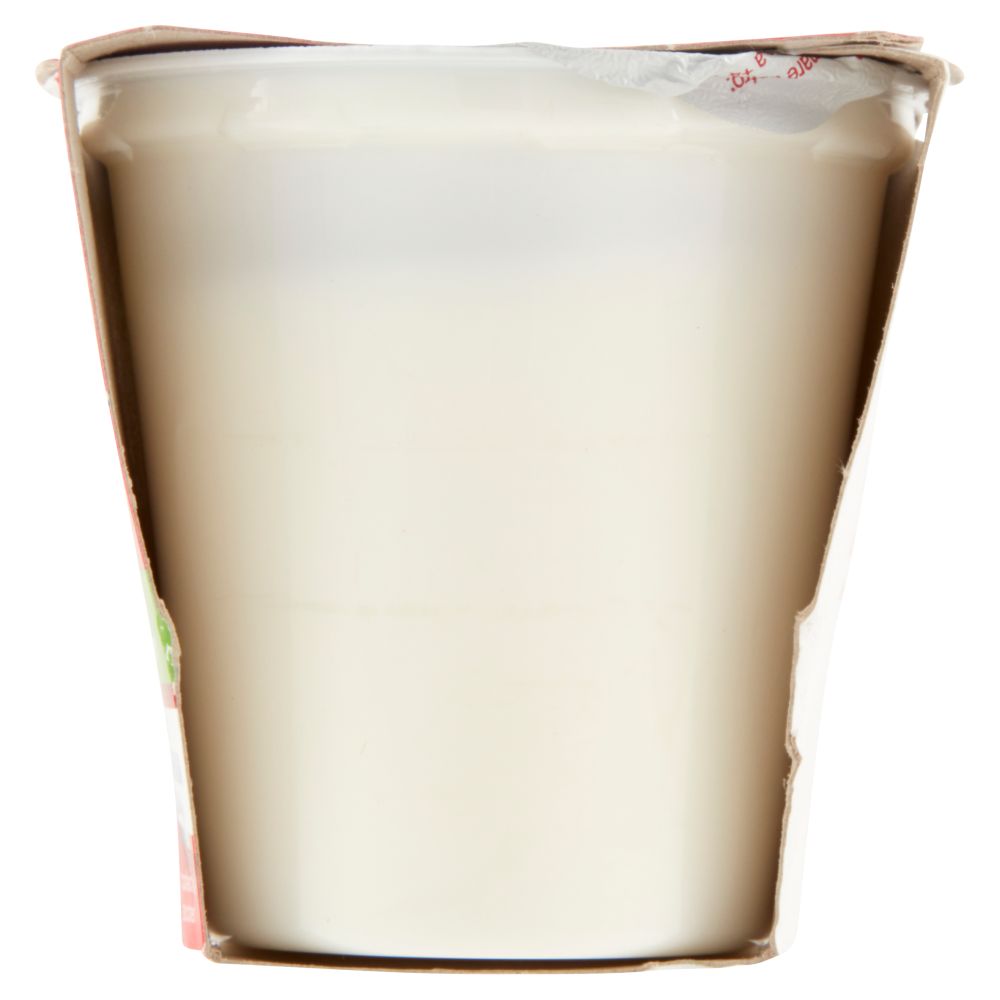 Carrefour Classic Yogurt Intero Bianco al Naturale 2 x 125 g