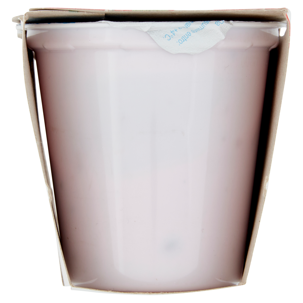 Carrefour Classic Yogurt Magro Frutti di Bosco 2 x 125 g
