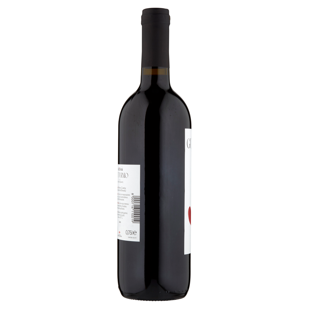Cantina Valtidone viti&vini Gutturnio D.O.C. Vino Frizzante 0,75 l