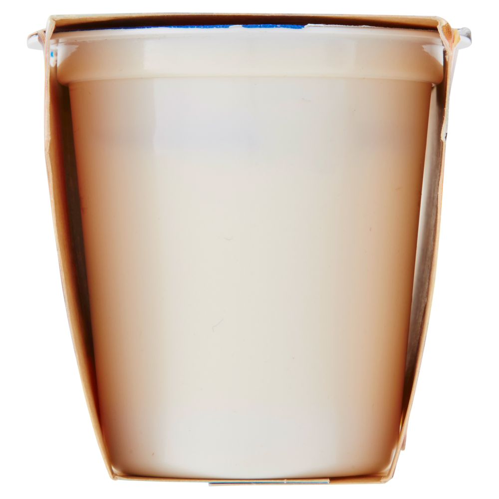 Centrale del Latte di Torino Tapporosso Yogurt Intero Mango e Maracuja 2 x 125 g