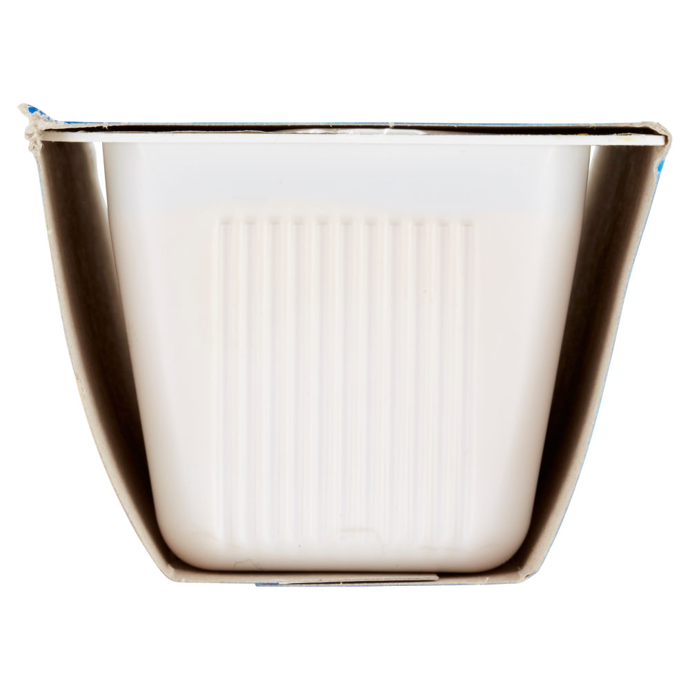 Elena Panna Cotta al caramello 2 x 100 g