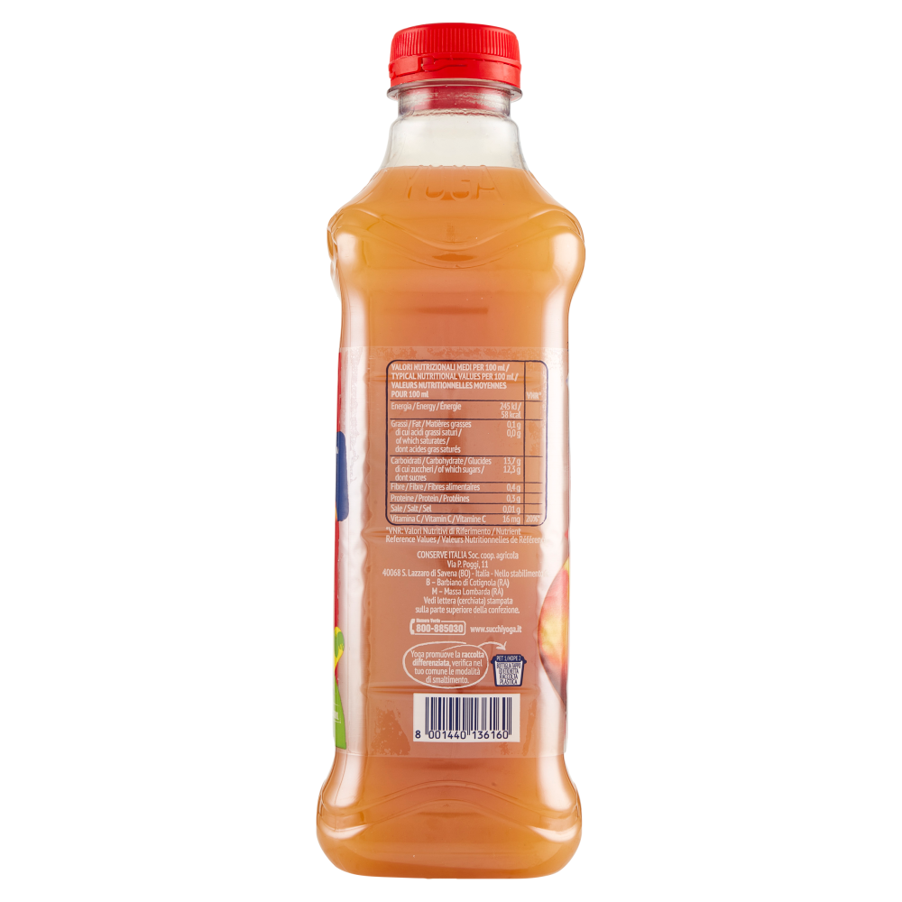 Yoga Pesca 1000 ml