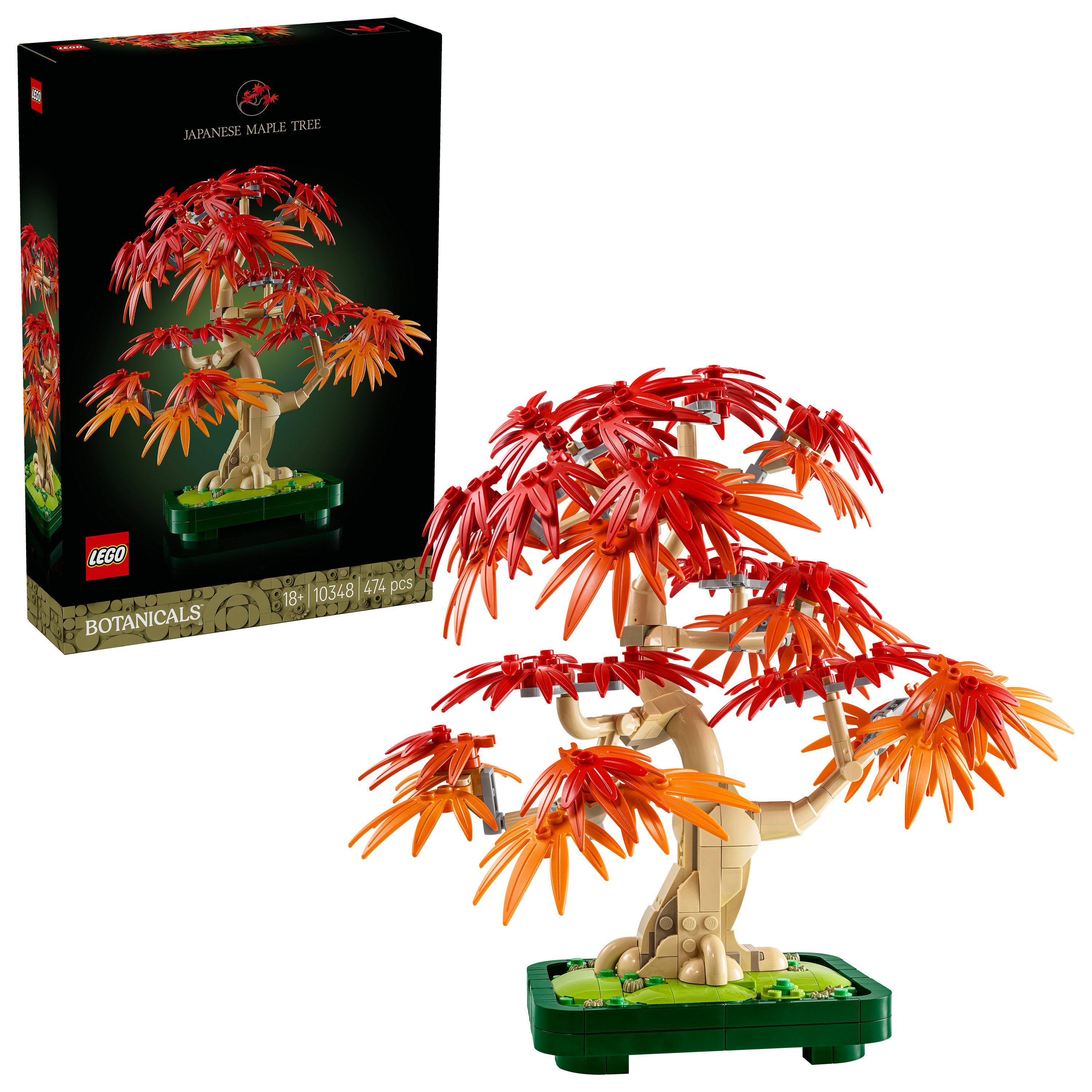 LEGO Botanicals Bonsai di acero rosso giapponese