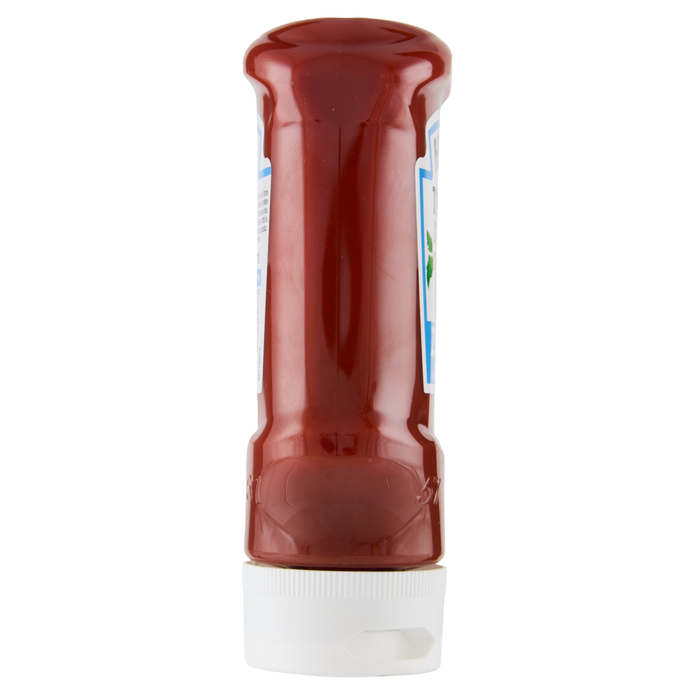 Heinz Tomato Ketchup Zero 425 g