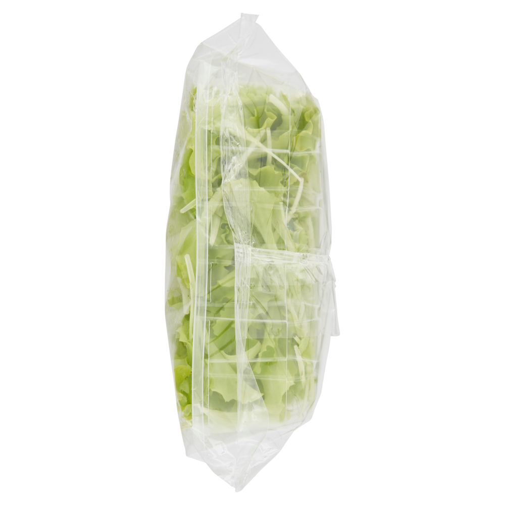 Insalatina 150 g