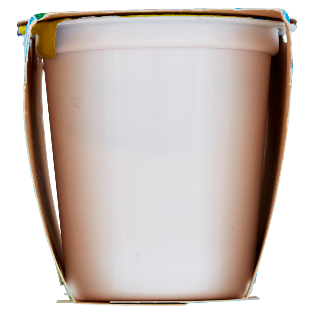 Centrale del Latte di Torino Tapporosso Yogurt Fragola 2 x 125 g