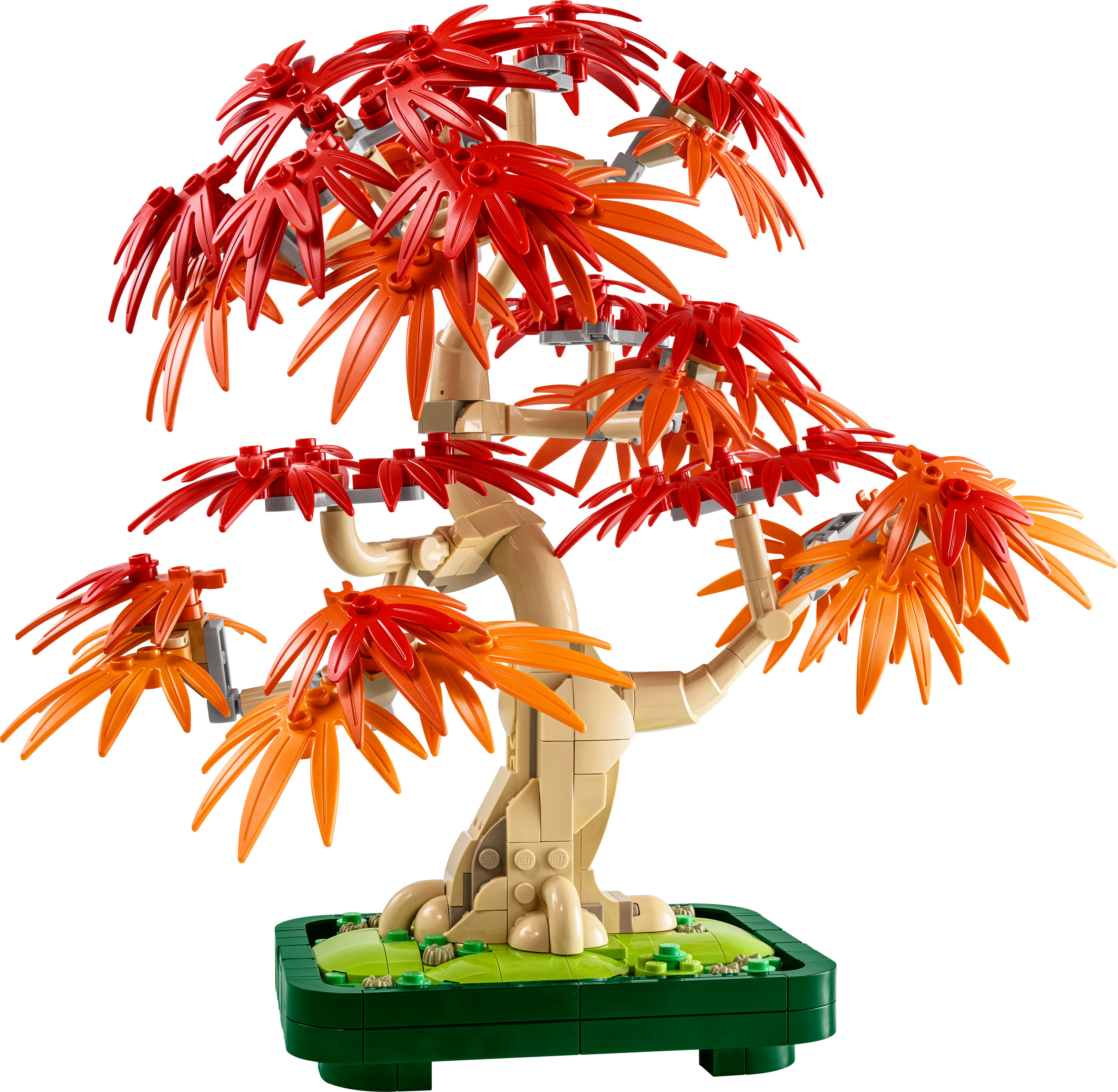 LEGO Botanicals Bonsai di acero rosso giapponese