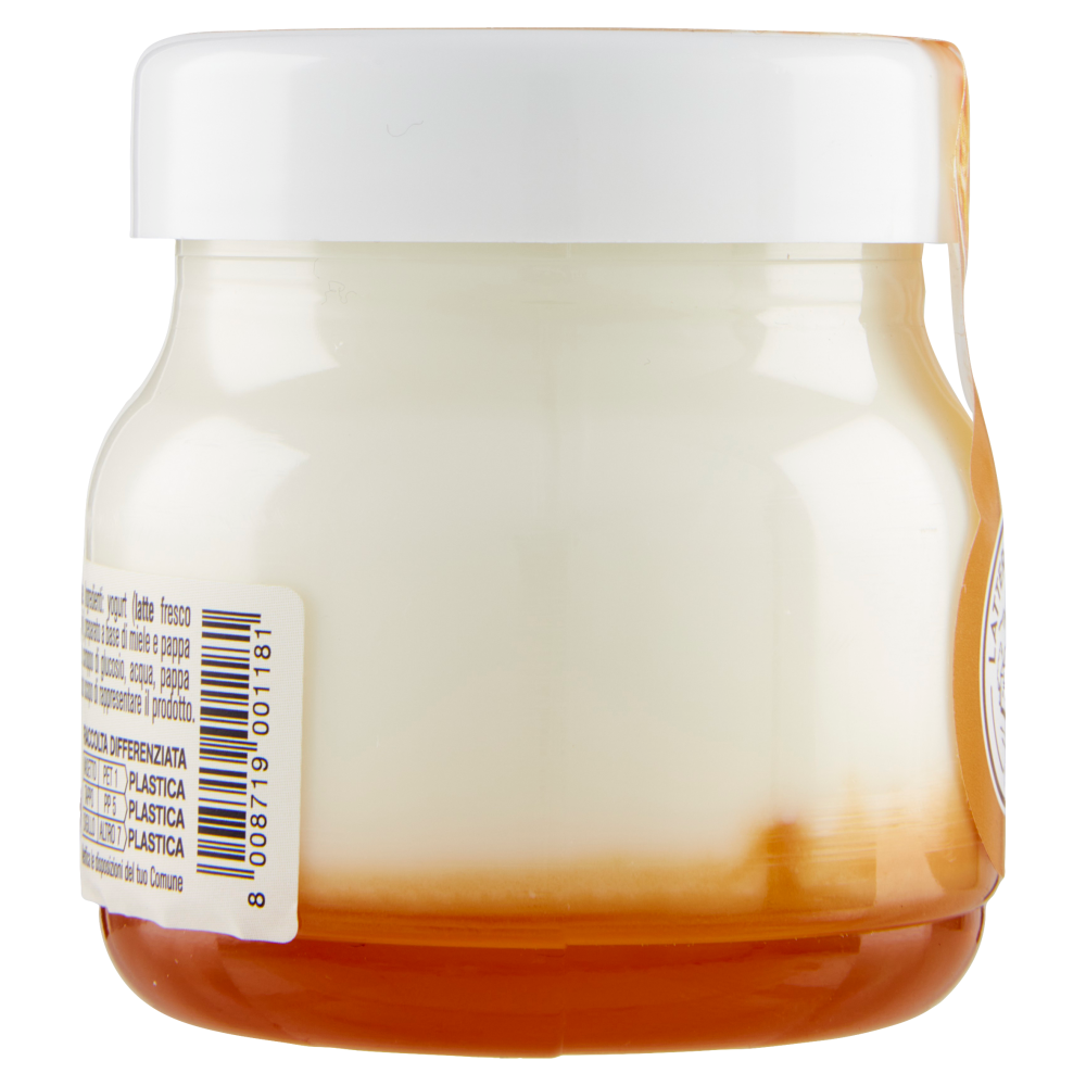 AlpiYò Yogurt di Valtellina Intero con Miele e Pappa Reale 125 g