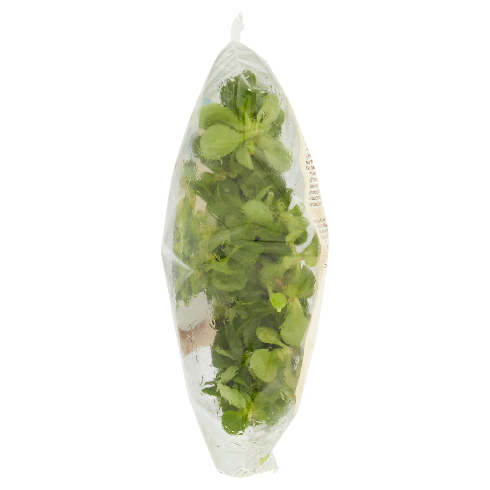 Carrefour Bio Songino 70 g