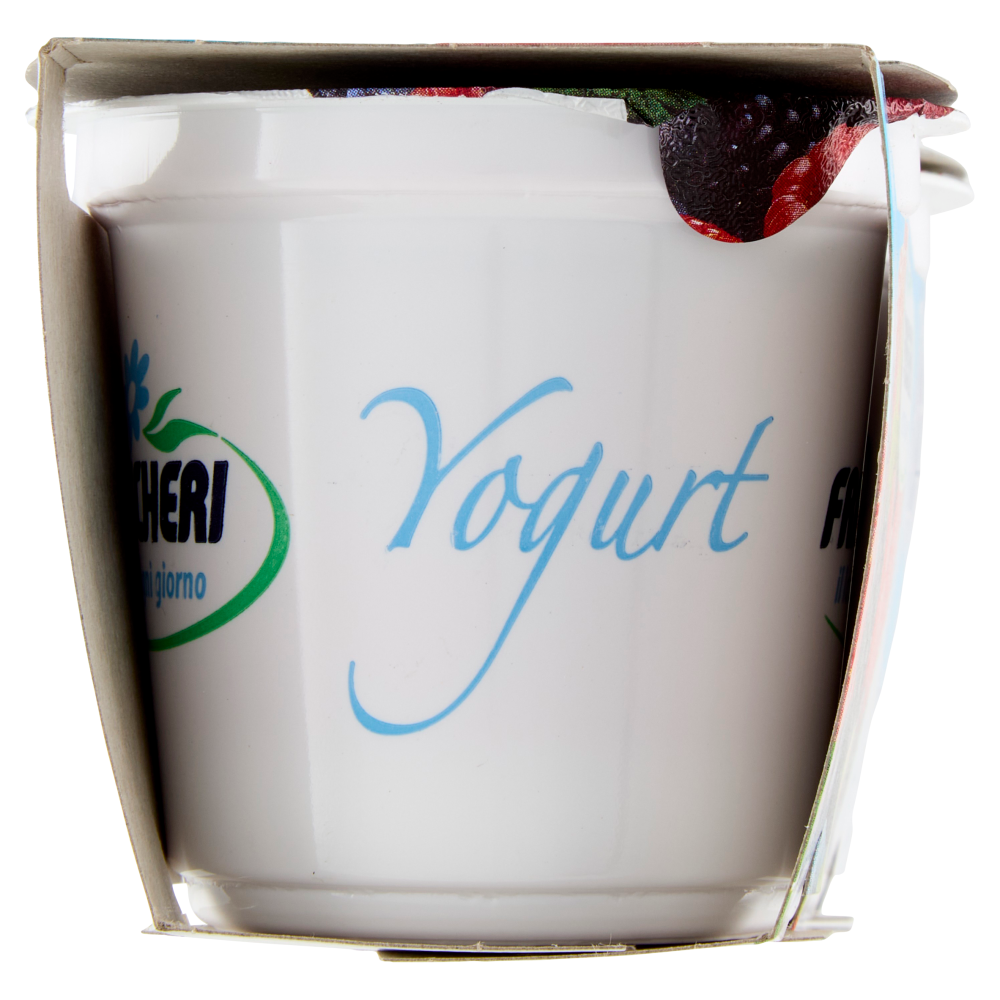 Frascheri Yogurt Intero ai Frutti di Bosco 2 x 125 g