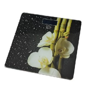 DCG Eltronic PW3190 bilance pesapersone Nero Bilancia pesapersone elettronica