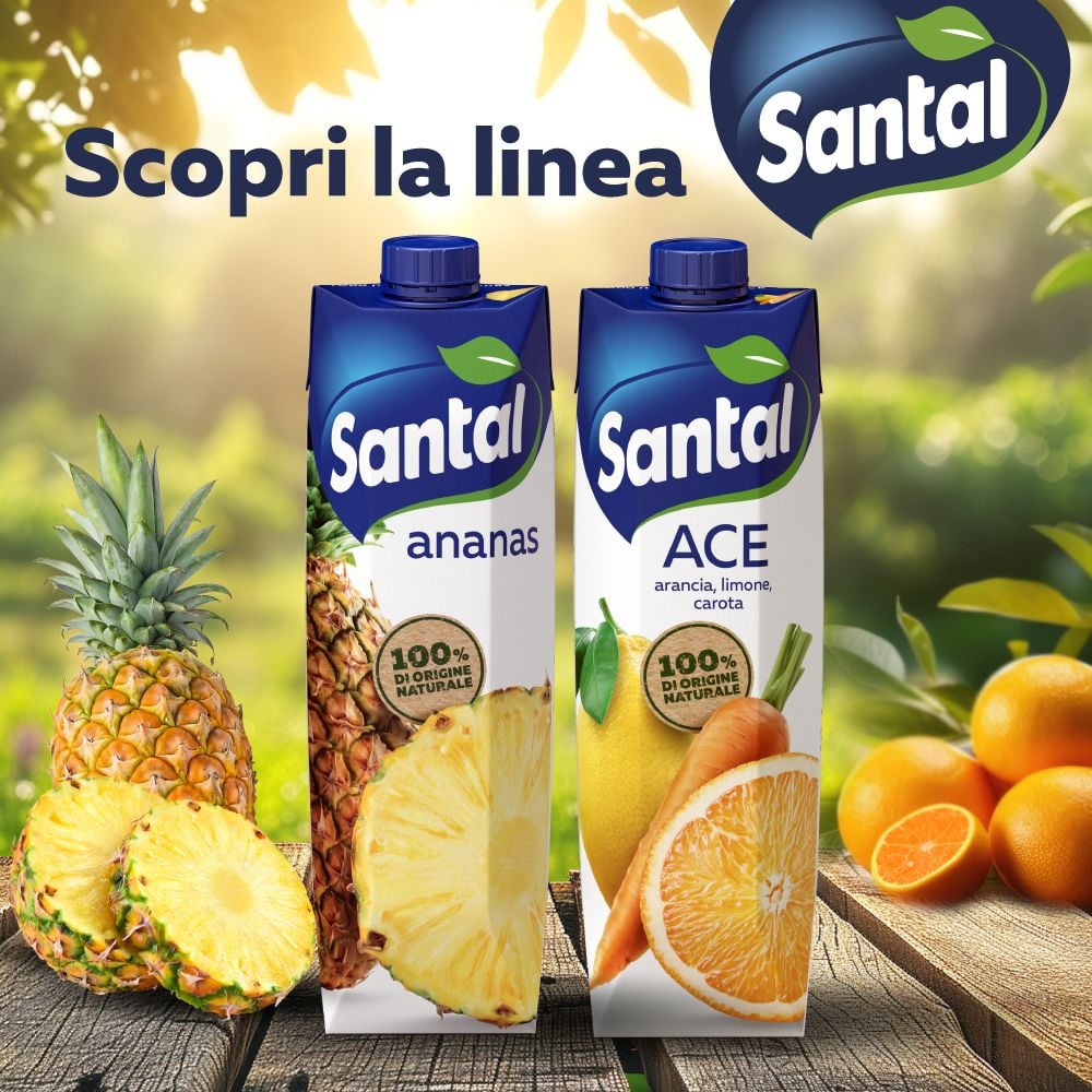 Santal Succo di Frutta Ananas 1000 ml