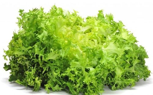 Insalata indivia riccia sfusa categoria I origine Italia