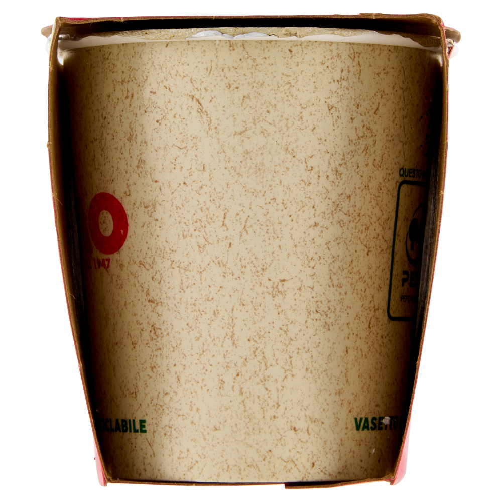 Yomo la Vaniglia 2 x 125 g