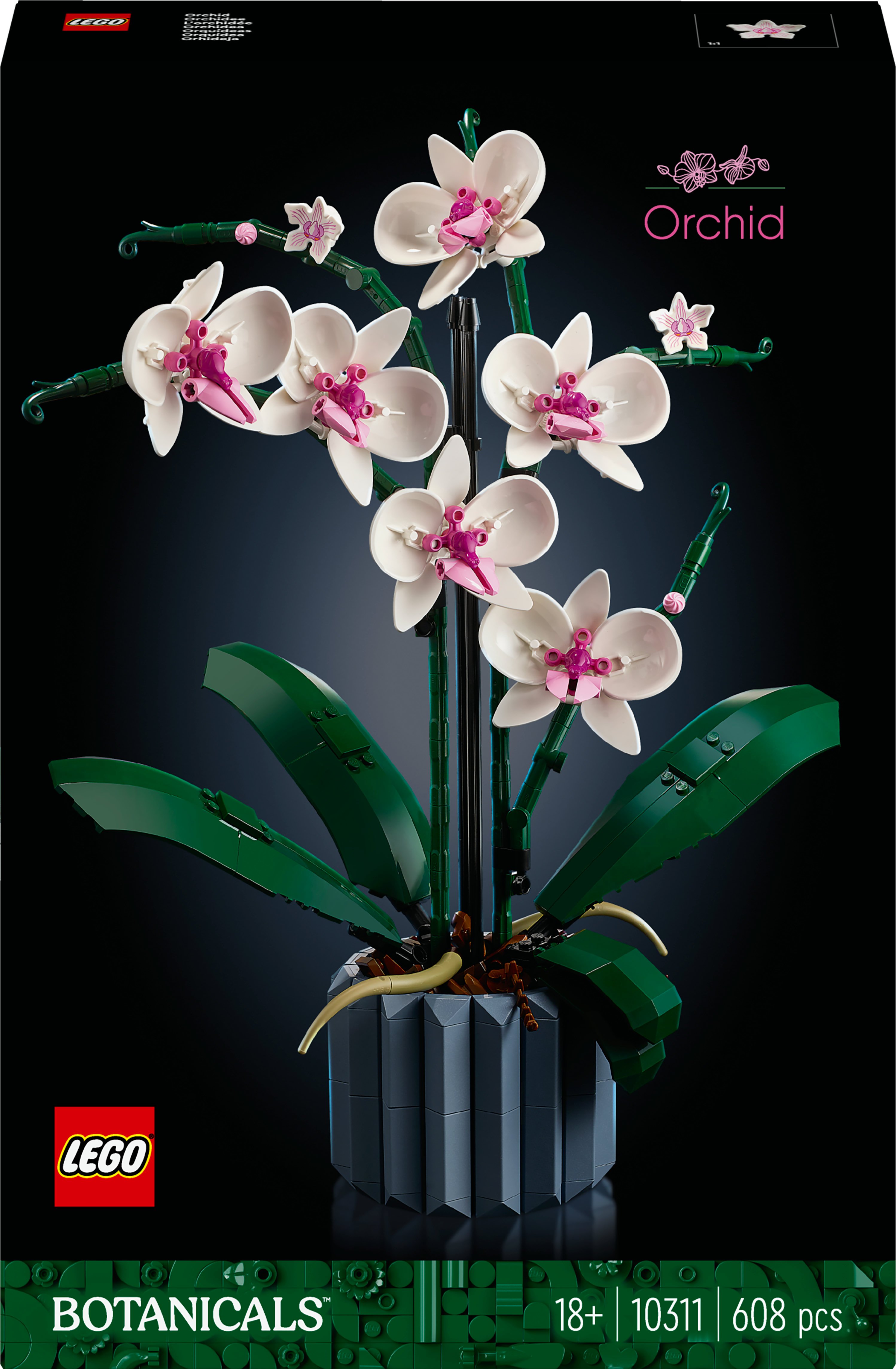 LEGO Botanicals Orchidea