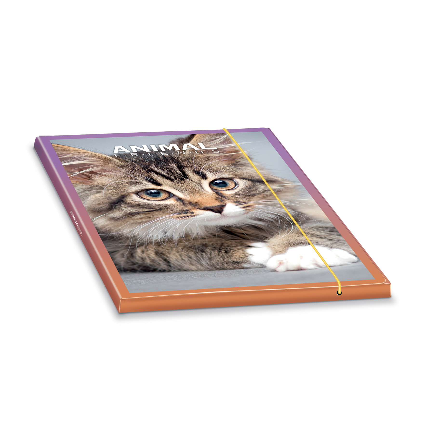 PaperDream Cartella tre lembi A.Friends