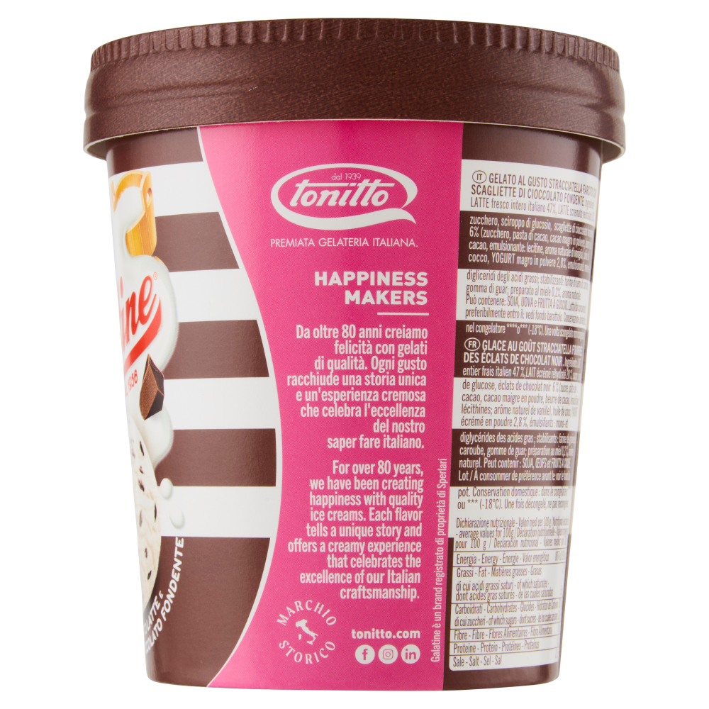 Galatine Gelato con Tanto Latte e Scaglie di Cioccolato Fondente 500 ml