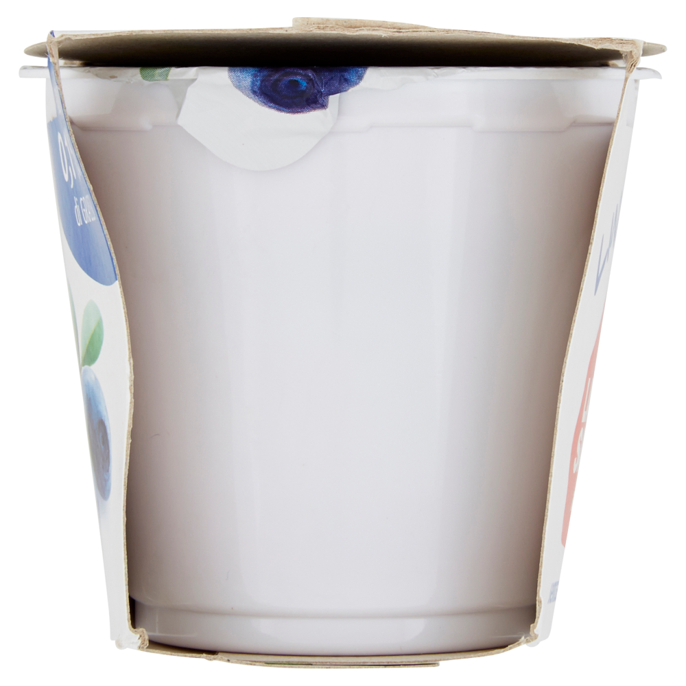 Fattoria Latte Sano Linealeggerezza Yogurt Magro al Mirtillo 2 x 125 g