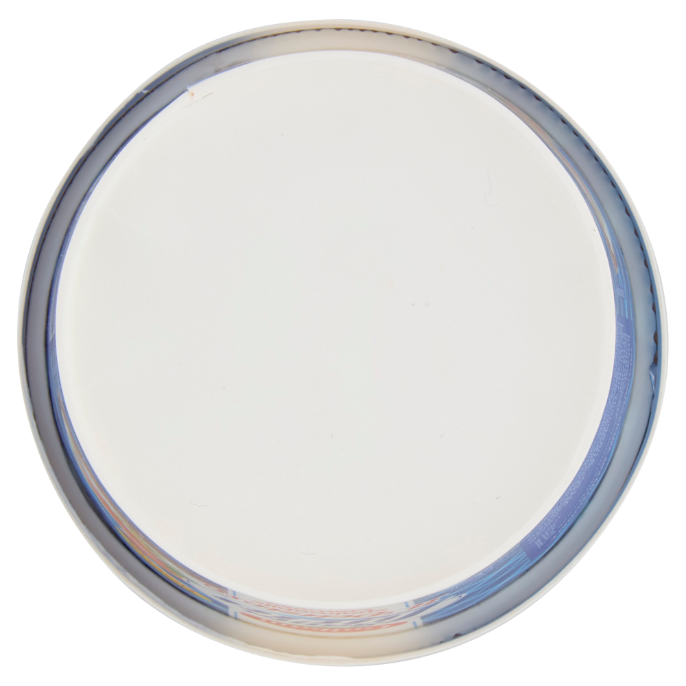 Galbani Santa Lucia il Delizioso Spalmabile Cremoso 250 g