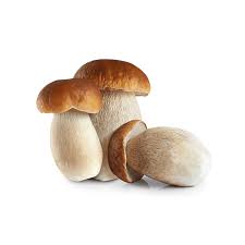 Funghi Porcini 500 g