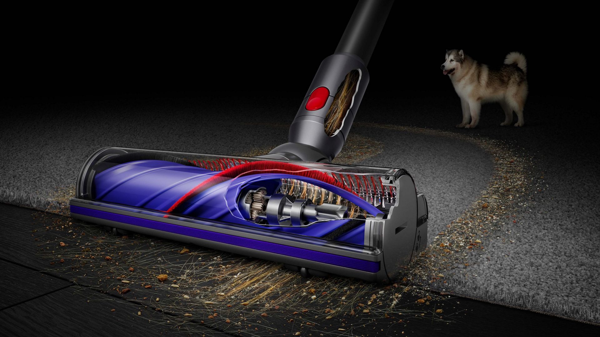 Dyson Aspirapolvere V8