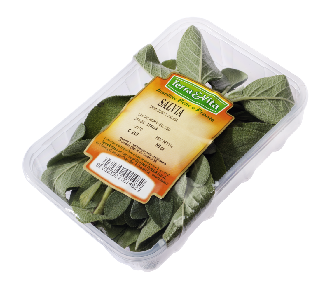 Salvia Tagliata e Lavata