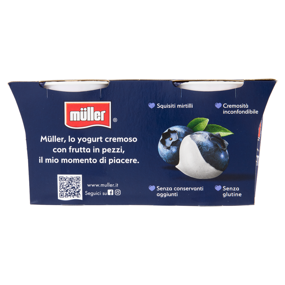 müller Yogurt Cremoso Mirtillo in Pezzi 2 x 125 g