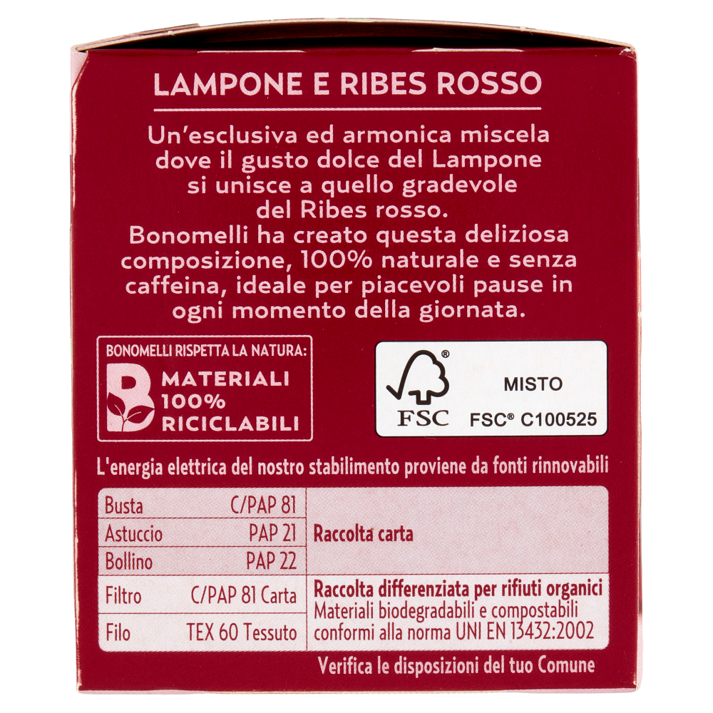Bonomelli Infusi Fruttosi 100% Naturali Lampone e Ribes Rosso 12 Filtri 24 g