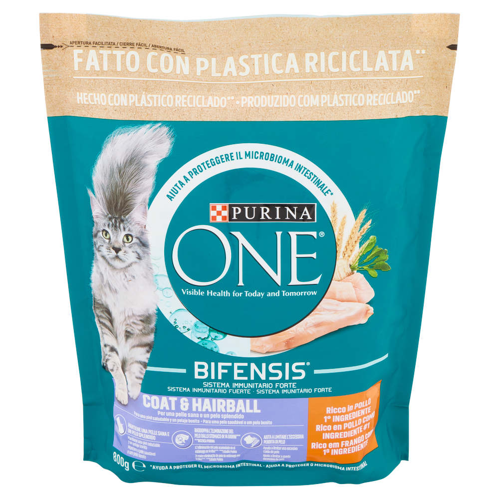 PURINA ONE Coat & Hairball Ricco in Pollo 800 g