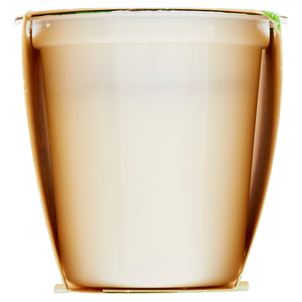 Centrale del Latte di Torino Tapporosso Yogurt Magro Cocco 2 x 125 g