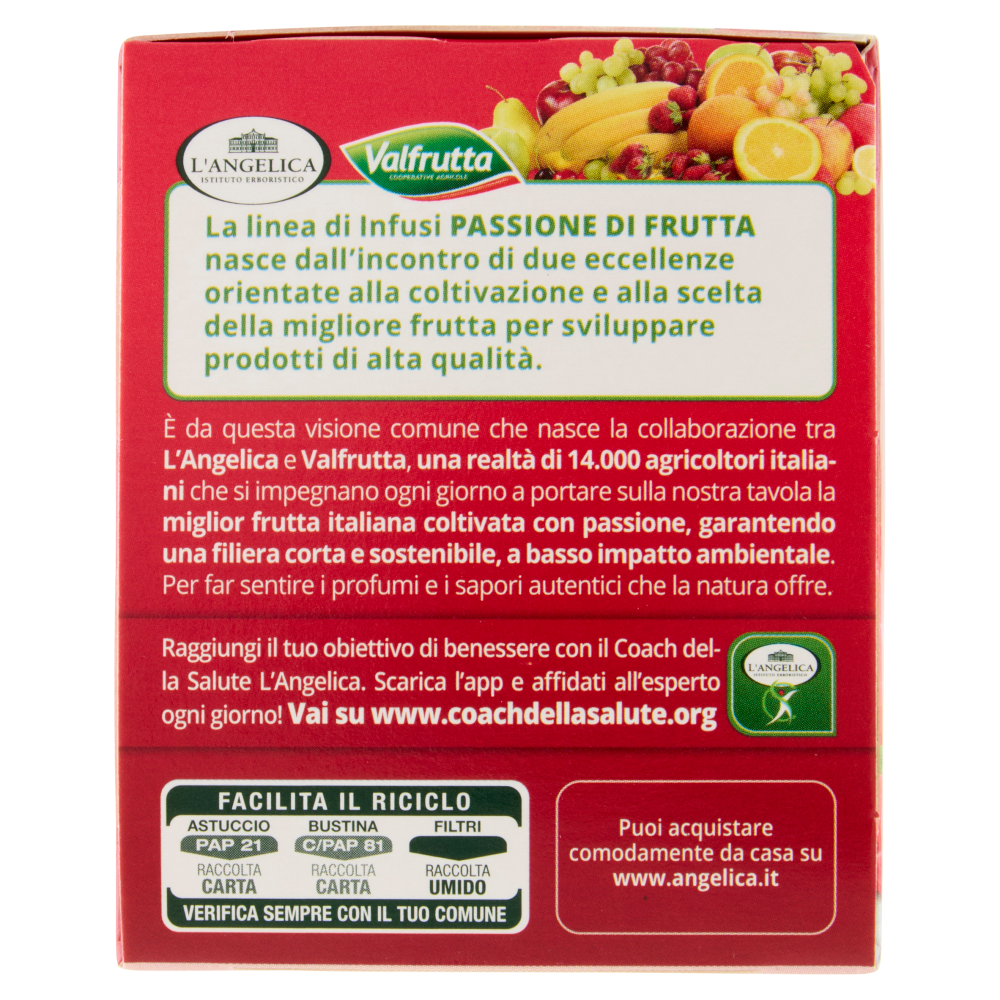 L'Angelica Passione di Frutta Lampone Cocco Karkadè 15 Filtri 28.5 g