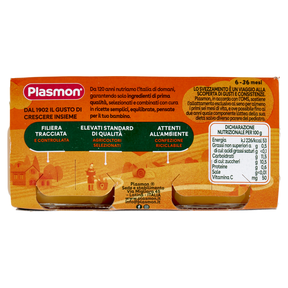Plasmon Omogeneizzato Mela Albicocca 2 x 80 g