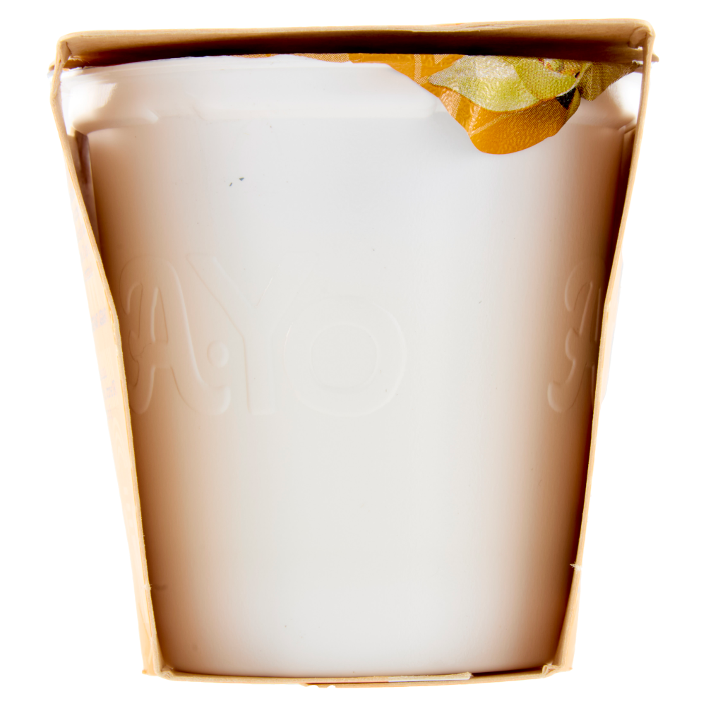 Arborea A-Yo Yogurt Senza Lattosio Vaniglia 2 x 125 g