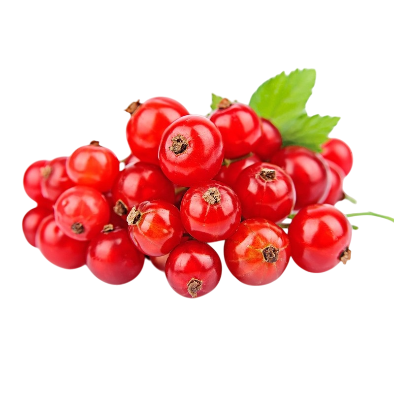 Ribes Gourmet 125 g