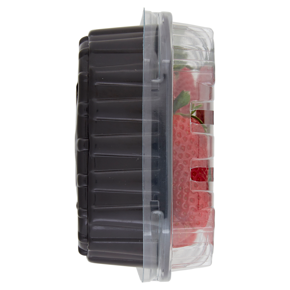 Terre d'Italia Fragole della Basilicata 300 g